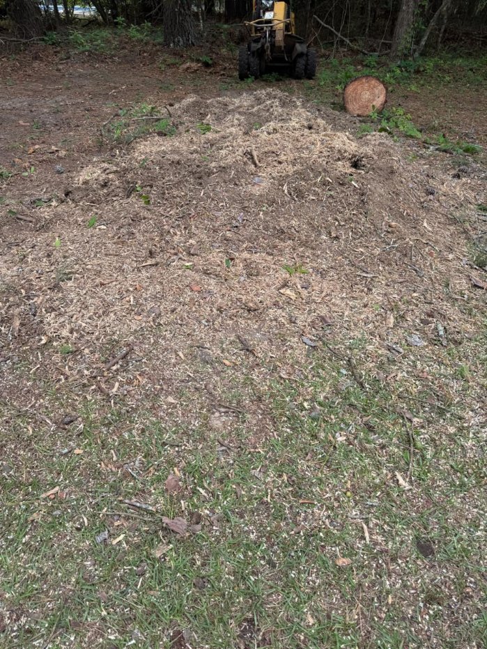 Lion Tree Service and Landscaping LLC project photo 46